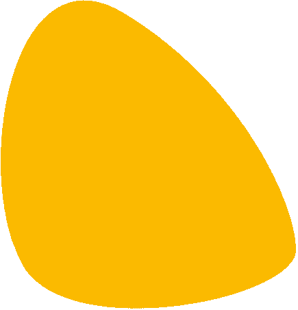 KingAPP.pl - profesjonalne rozwiązania IT